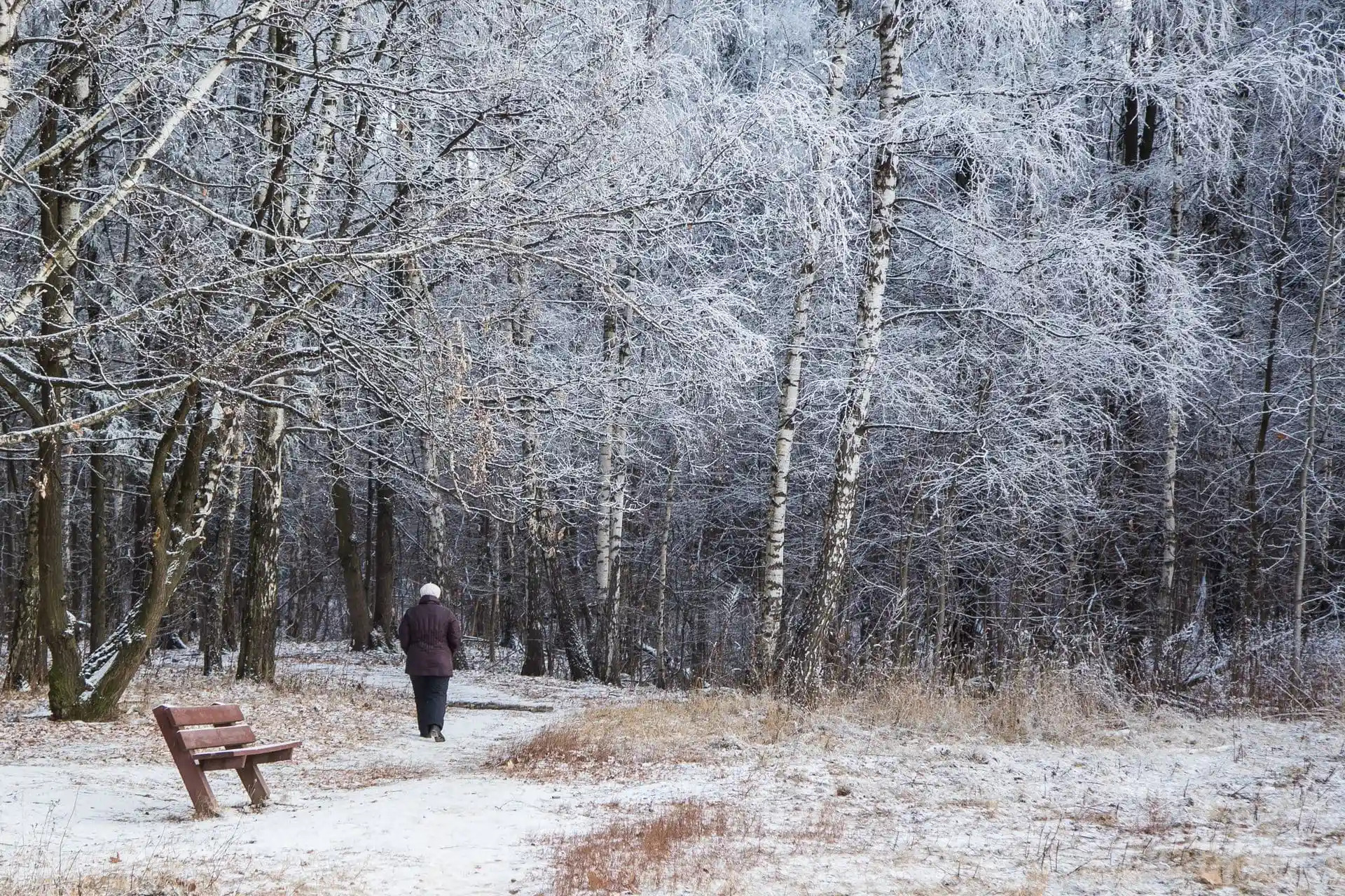 Seasonal Affective Disorder (SAD)